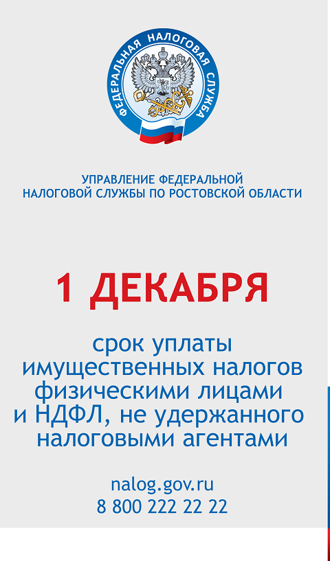 nalog im 2022 2
