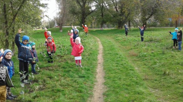 18 октябрял осенний День древонасаждений