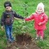 18 октябрял осенний День древонасаждений